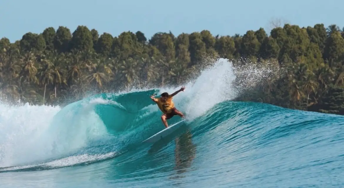 Surfer throwing spray on a cutback in front of a palm-lined shore