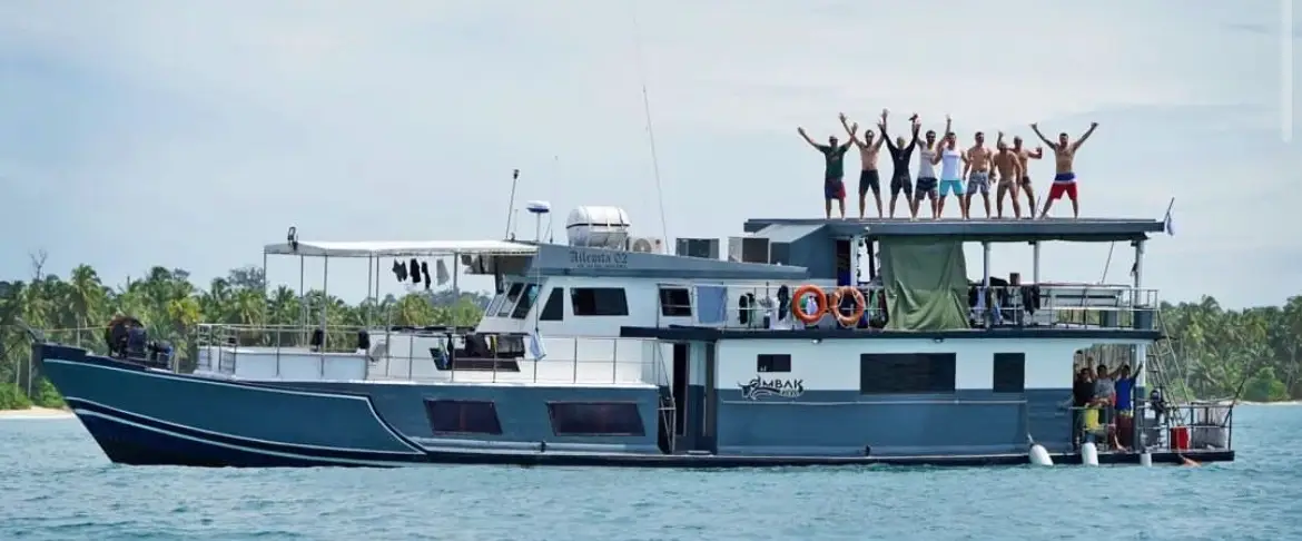 Guests raising their arms on the top deck, palm-lined island behind
