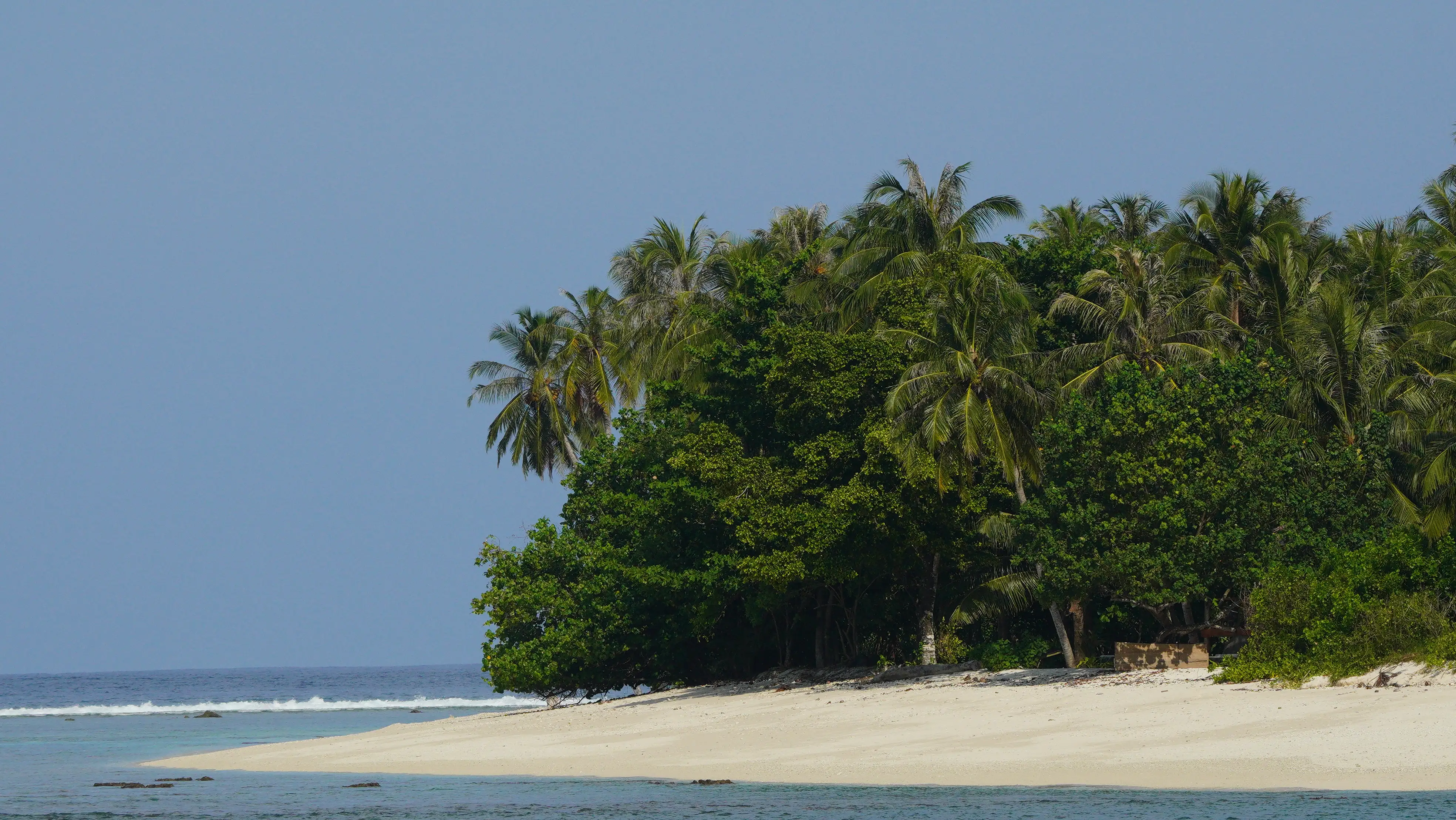 A white-sand island point with palms meeting a turquoise reef