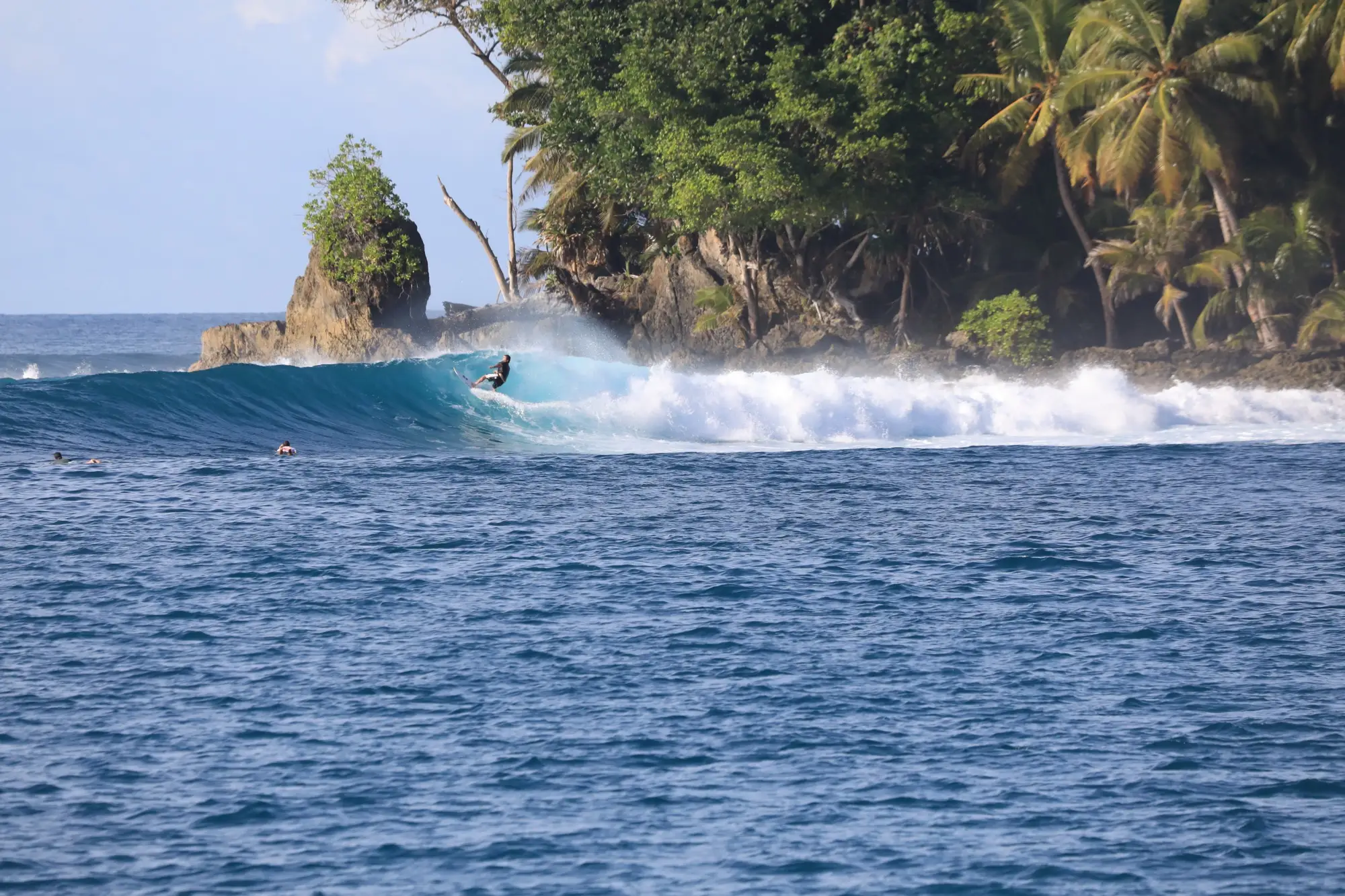 Surfer on a left-hand wave beneath a jungle-covered headland