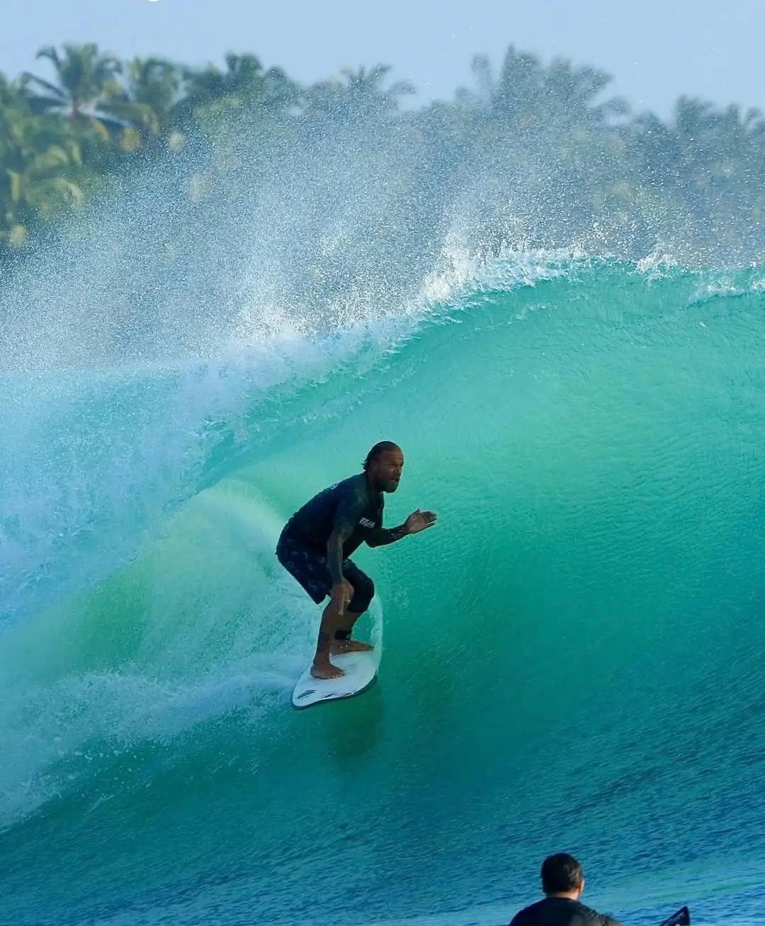 Surfer under the pitching lip of a glassy wave, palms on the shore behind